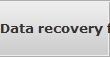 Data recovery for Southfield data